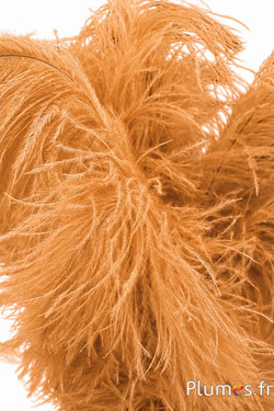 Struisvogel - 30-40 cm - cognac
